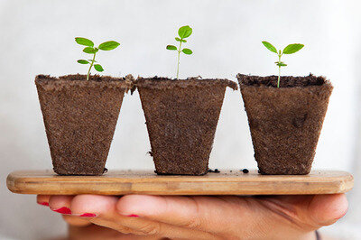 selecting scalable wms